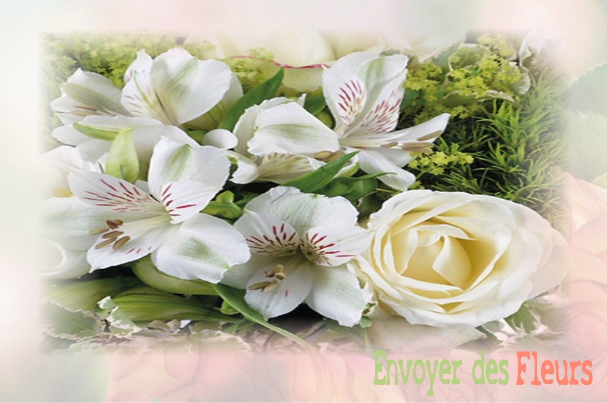 envoyer des fleurs à à LAVAVEIX-LES-MINES